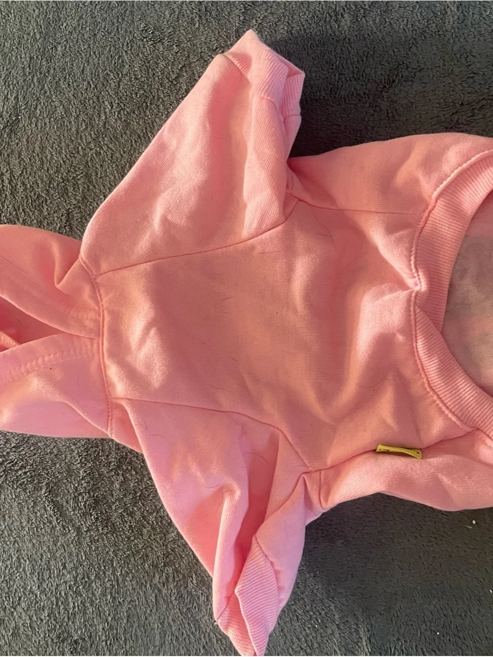 Pink Pet Hoodie with 'It's All About Me!' Graphic